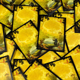 Everdell Card Sleeve Set