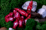 PolyHero Cleric 8d4 Bless Dice in Healing Heart