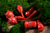 PolyHero Warrior 8 Dice Set - Crimson Carnage