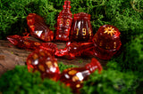 PolyHero Rogue 8 Dice Set - Rakish Ruby
